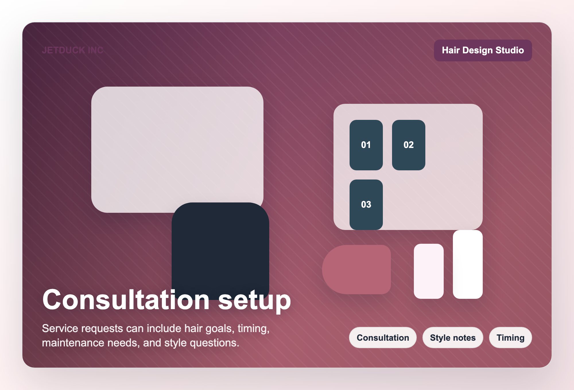 Consultation setup visual for JETDUCK INC